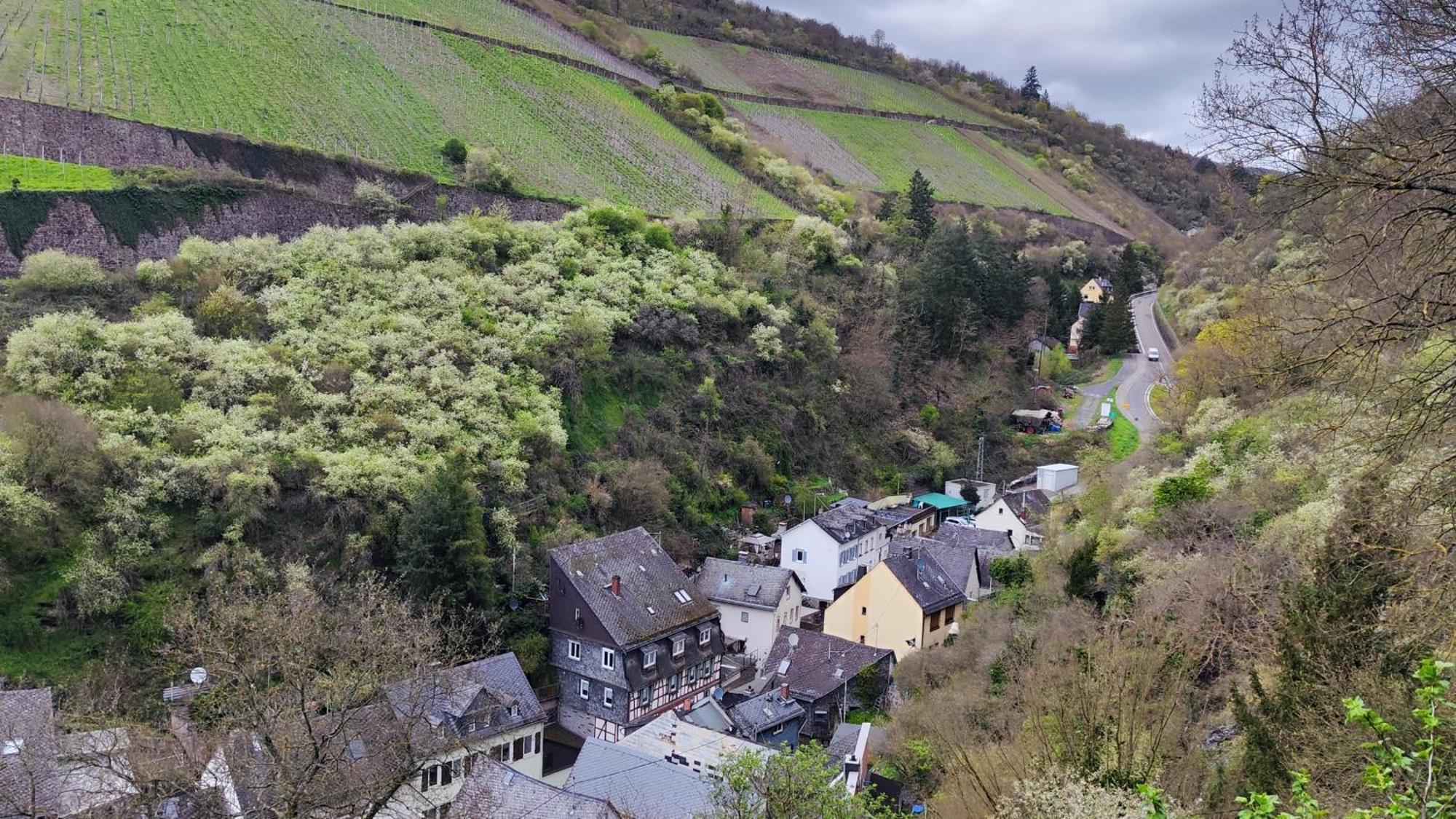 Apartmán Direkt Am Rhein Mit Burgblick Nahe Rheinsteig Bis 8 Personen, 2 Baeder, 4 Zimmer, Kueche, Netflix Kaub Exteriér fotografie
